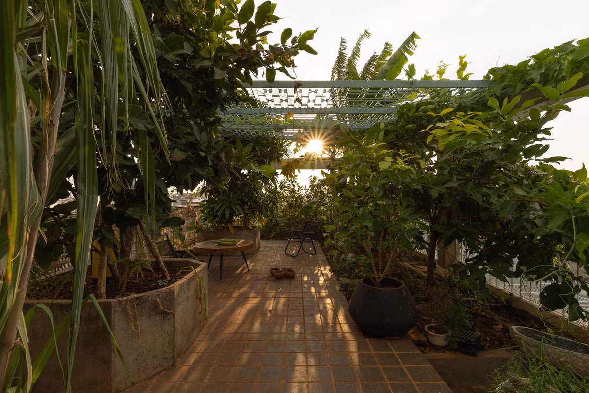 Sân thượng là khu vườn trồng rau xanh và cây ăn trái. Ảnh: Quangdam