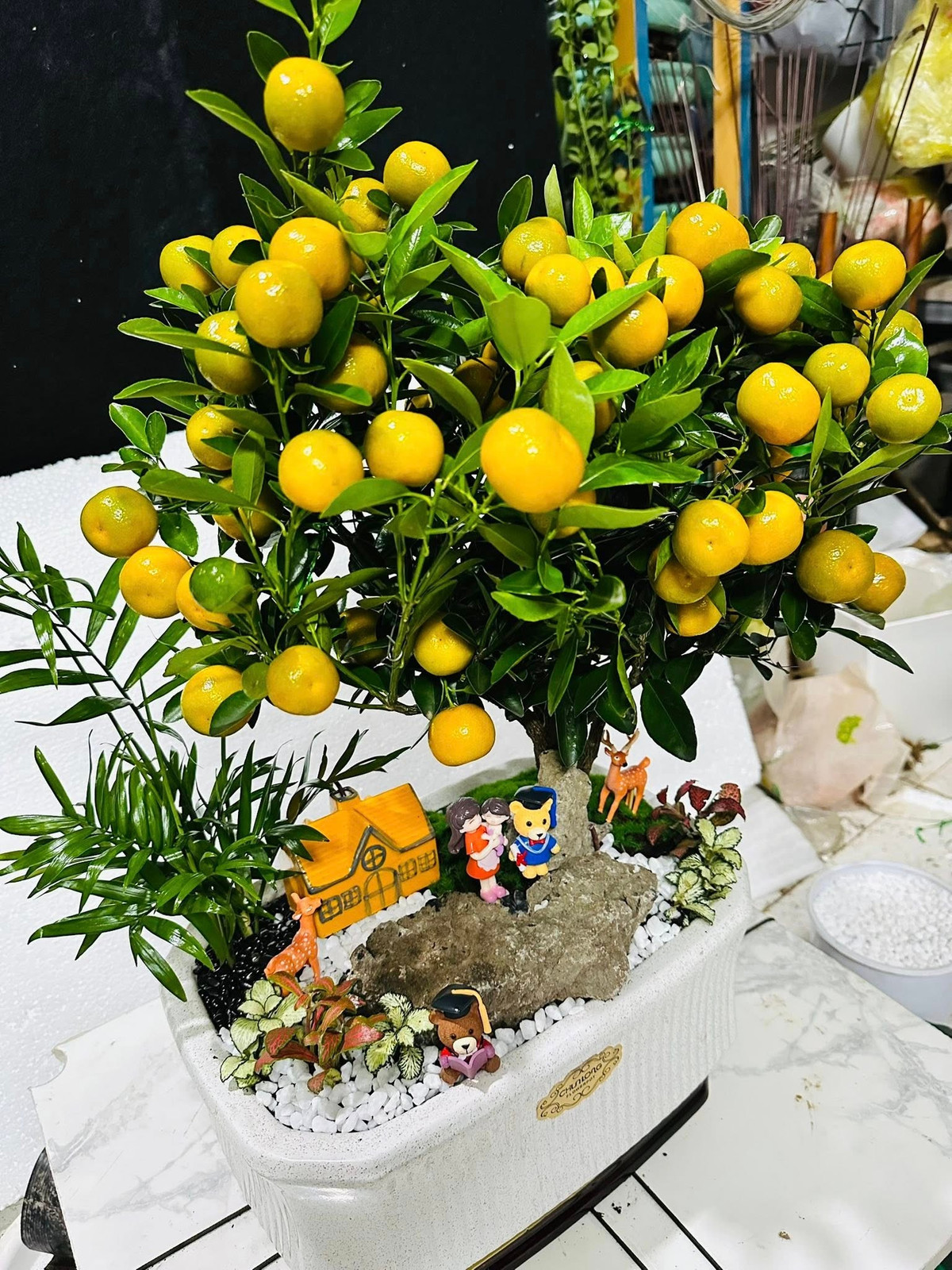 Những chậu quất bonsai được chăm sóc kỹ lưỡng thường có quả chín đều, ít rụng, giữ được vẻ đẹp suốt cả tháng Tết. Ảnh: Facebook