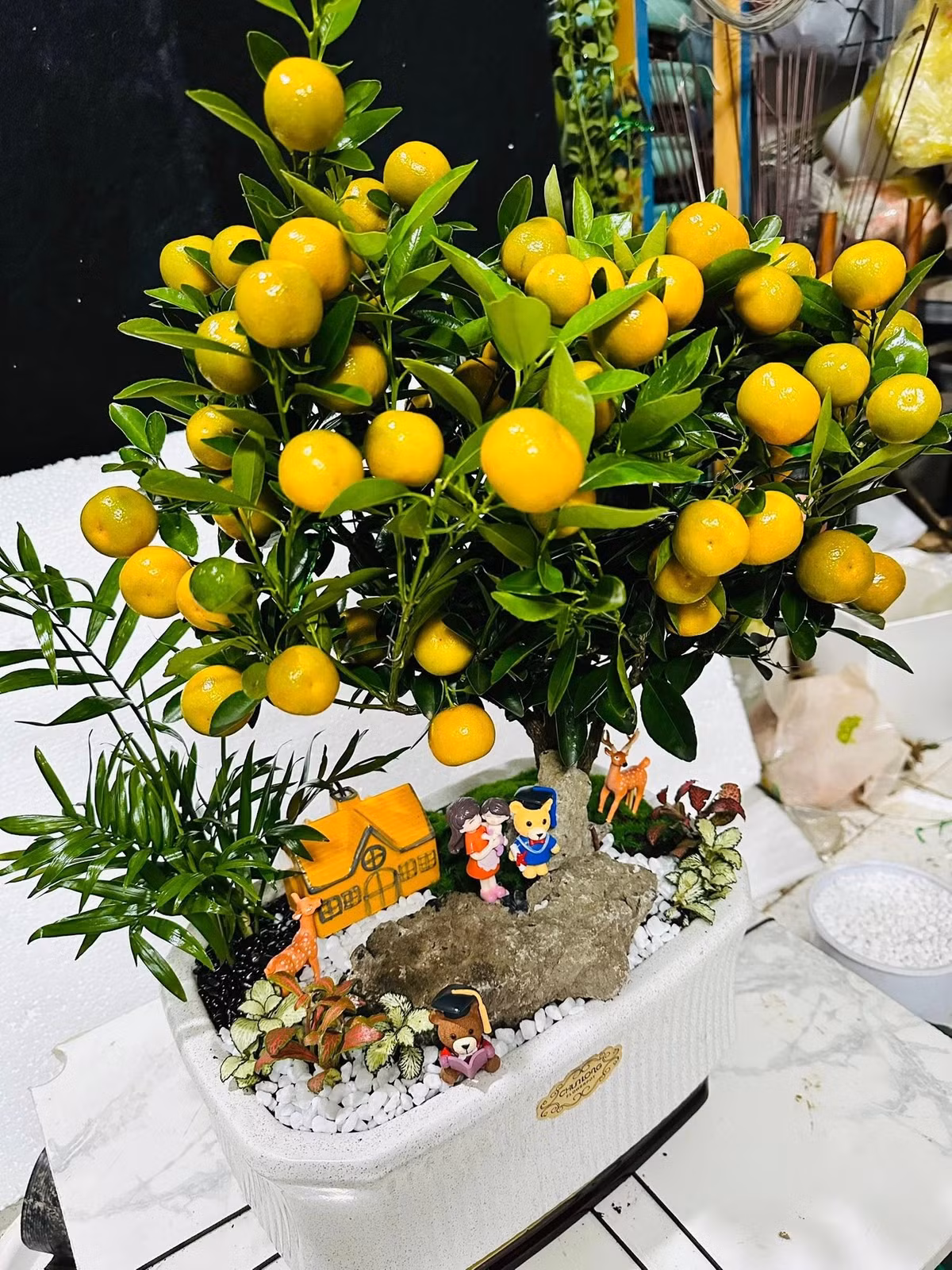 Những chậu quất bonsai được chăm sóc kỹ lưỡng thường có quả chín đều, ít rụng, giữ được vẻ đẹp suốt cả tháng Tết. Ảnh: Facebook