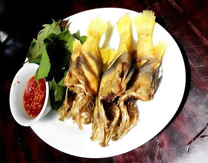 Thời gian gần đây, loại cá lạ này được nhiều du khách gần xa yêu thích. Ảnh: Saostar