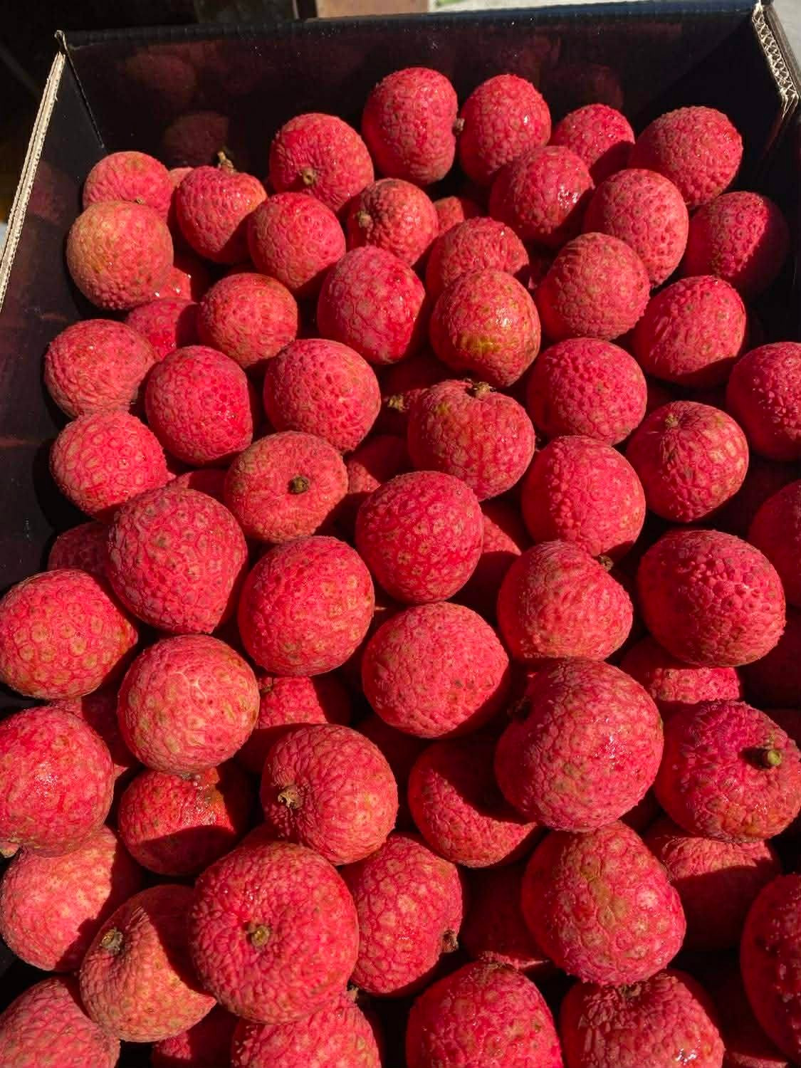 Nếu mua theo thùng 5kg, giá bán dao động khoảng 4 - 4,7 triệu đồng/thùng. Ảnh: Fb Lucky Nguyen