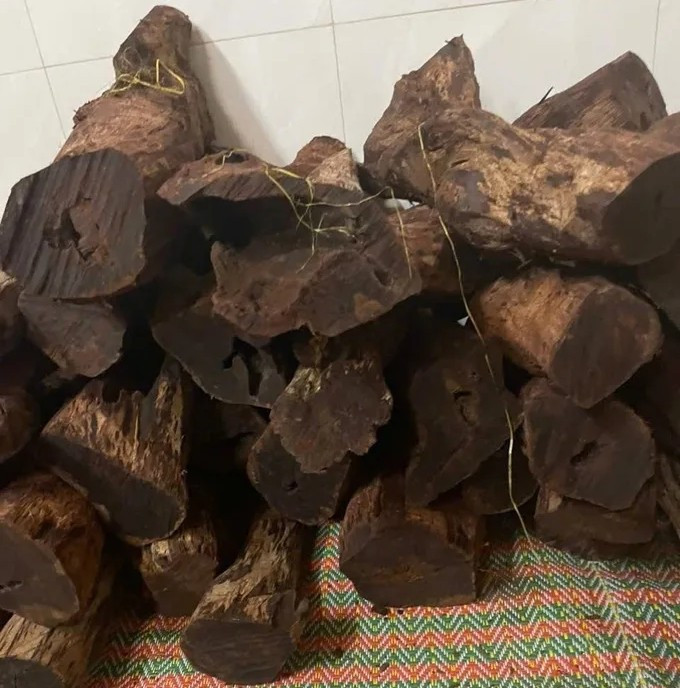 Theo nguồn tin trên Báo Người Lao Động, tại kho tập kết của một thương lái, gỗ mán đỉa được cắt thành từng phách, lộ rõ lõi nâu đỏ, vân đen và mùi thơm nhẹ. Ảnh: SGGP
