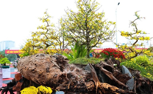 Tác phẩm được chủ nhân rao với giá 799 triệu đồng. Ảnh: Tiền phong