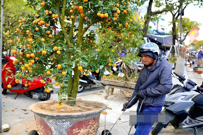 Có ngày từ sáng sớm đến tối muộn, các xe chở cây ra vào chợ hoa liên tục, không kịp nghỉ tay. Ảnh: Dân Việt