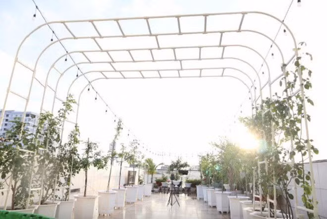 Phan Hiển còn tạo mái vòm để trồng hồng leo và giăng đèn. Ảnh: FBNV