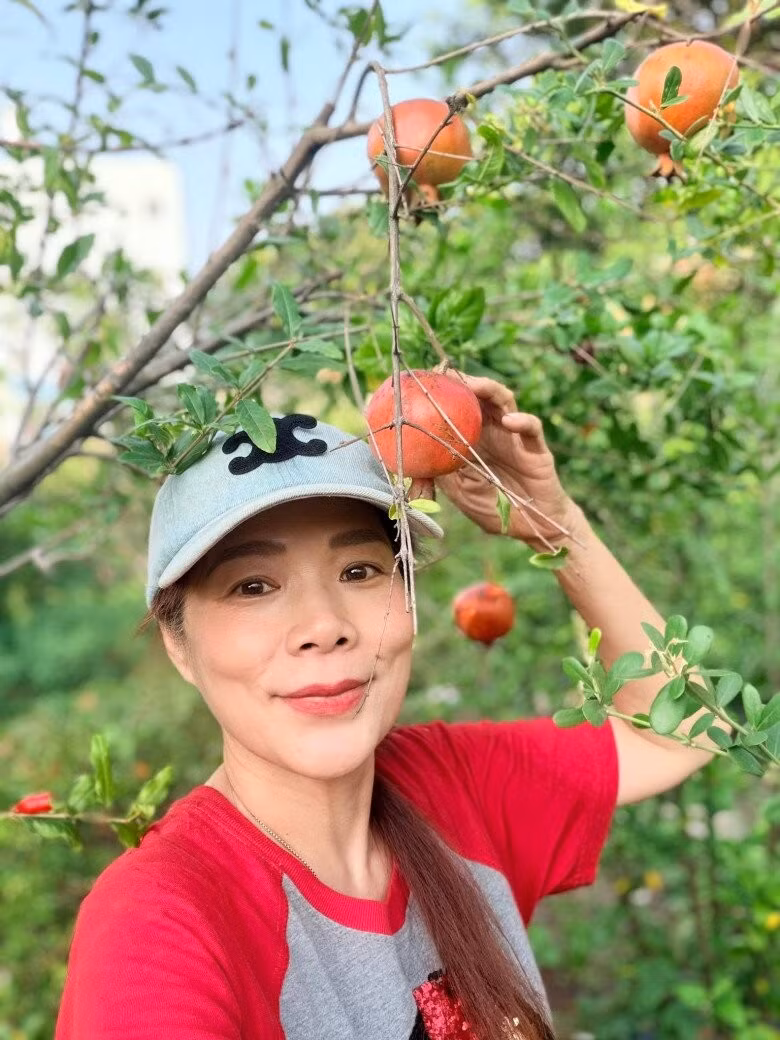 Lựu Ấn Độ đỏ rực như những chiếc đèn lồng treo lơ lửng giữa vườn. Ảnh: FB Hoàng Thị Mỹ Lệ