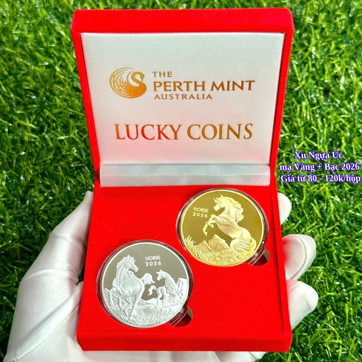 Cặp xu ngựa Úc vàng – bạc năm 2026 được rao bán 80.000 đồng/cặp nếu mua lẻ. Khi mua số lượng lớn, mức giá giảm còn 70.000 đồng/cặp. Ảnh: Thegioitien