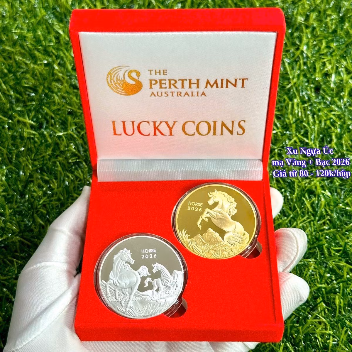 Cặp xu ngựa Úc vàng – bạc năm 2026 được rao bán 80.000 đồng/cặp nếu mua lẻ. Khi mua số lượng lớn, mức giá giảm còn 70.000 đồng/cặp. Ảnh: Thegioitien