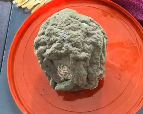 Đáng chú ý, một quả cam mốc meo hoàn toàn từng được chào bán với giá 599 Nhân dân tệ (khoảng 2,7 triệu đồng), khiến nhiều người không khỏi ngạc nhiên. Ảnh: Weibo