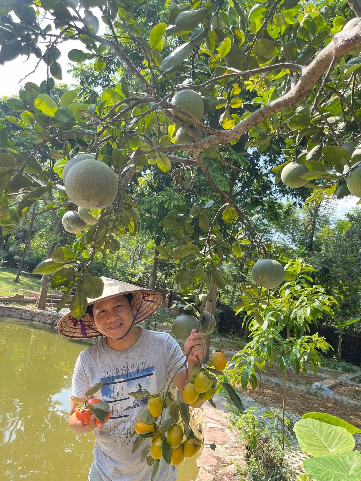 Trên trang cá nhân, Trọng Tấn vừa chia sẻ cây hồng, cây bưởi trĩu quả giữa ngày rằm tháng 7. Ảnh: FBNV