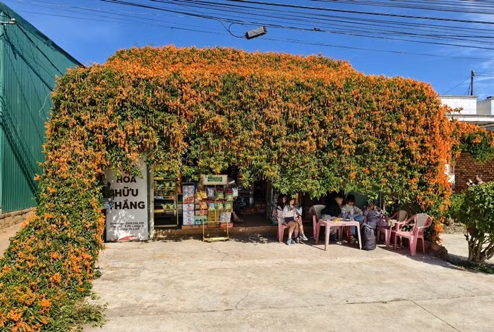 Ngôi nhà được sử dụng là tiệm tạp hóa ở xã Gia Hiệp thuộc sở hữu của vợ chồng bà Hà Thị Lánh. Ảnh: Người lao động