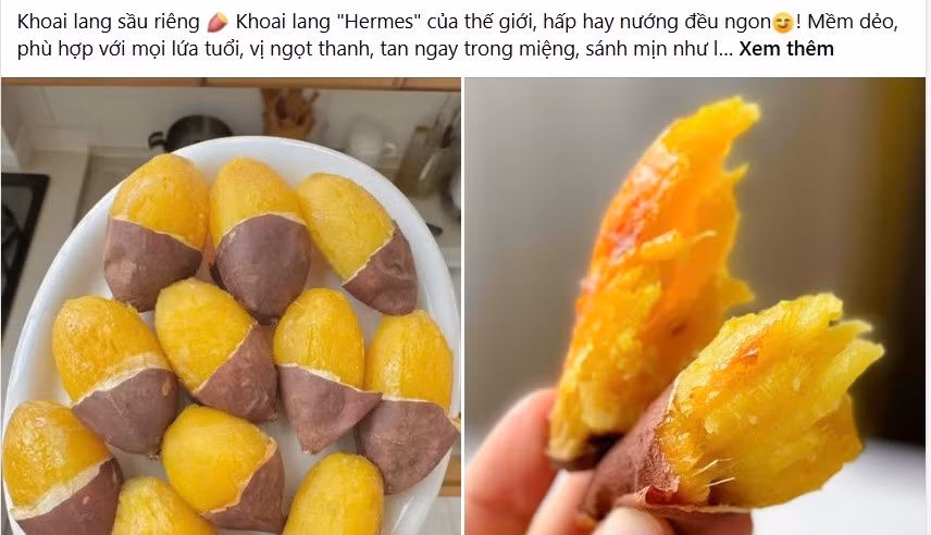 Bên cạnh giống khoai lang phổ biến giá dao động từ 10.000-35.000 đồng/kg tùy loại, thị trường Việt thời gian gần đây còn xuất hiện khoai lang sầu riêng Trung Quốc. Ảnh chụp màn hình