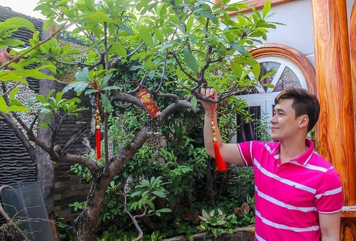 Nam ca sĩ trồng nhiều cây, tỏa bóng mát. Ảnh: ĐSPL