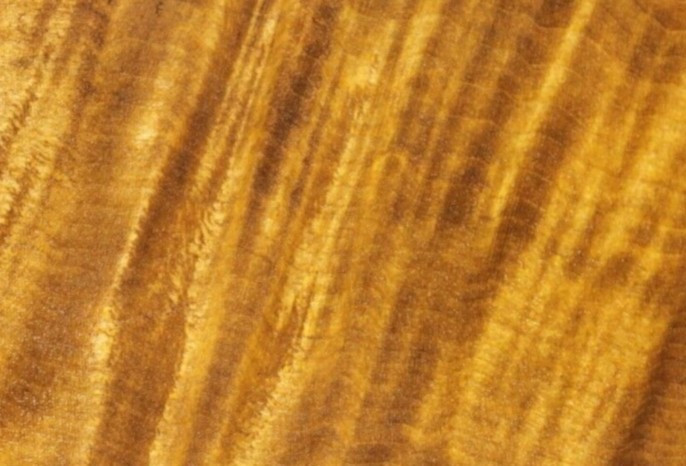 Ngoài ra, gỗ trinh nam rất chắc chắn, thớ mịn, không dễ bị tác động bởi môi trường. Ảnh: Wiki