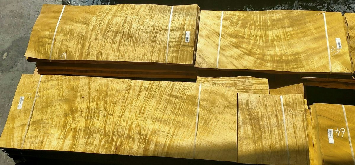 Gỗ trinh nam còn khiến nhiều người mê mẩn bởi vẻ đẹp tự nhiên, màu sắc vàng óng ả sau khi được đánh bóng. Ảnh: Wiki