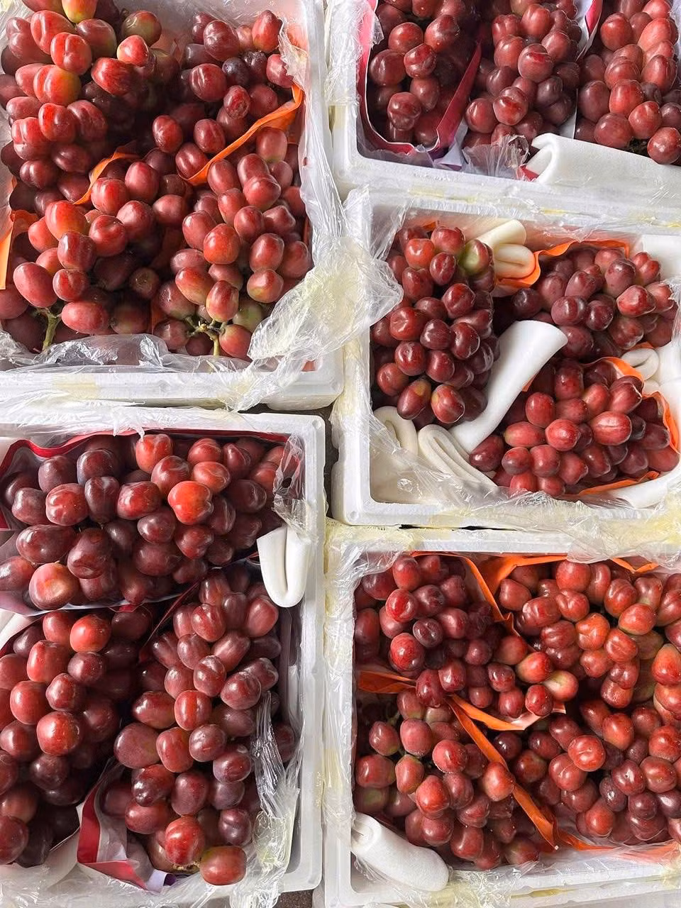 Mức giá này rẻ hơn nhiều so với nho trái tim Nhật Bản (1,5 - 2,2 triệu đồng/kg) nhưng đắt gấp 10 lần so với nho sữa "quý tộc" Trung Quốc 20.000 - 55.000 đồng/kg). Ảnh: FB Trần Thị Huyền Trang