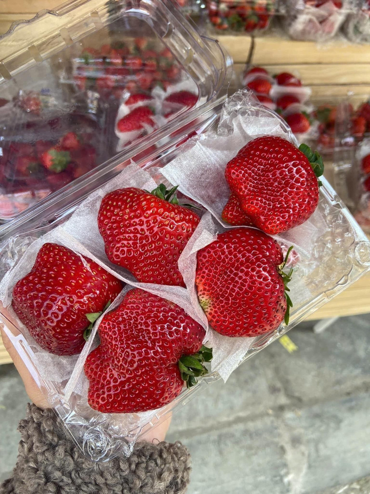 Dâu tây Mộc Châu có độ chua ngọt vừa phải, không bị nhạt như dâu Trung Quốc. Ảnh: FB Dâu Tây Mộc Châu