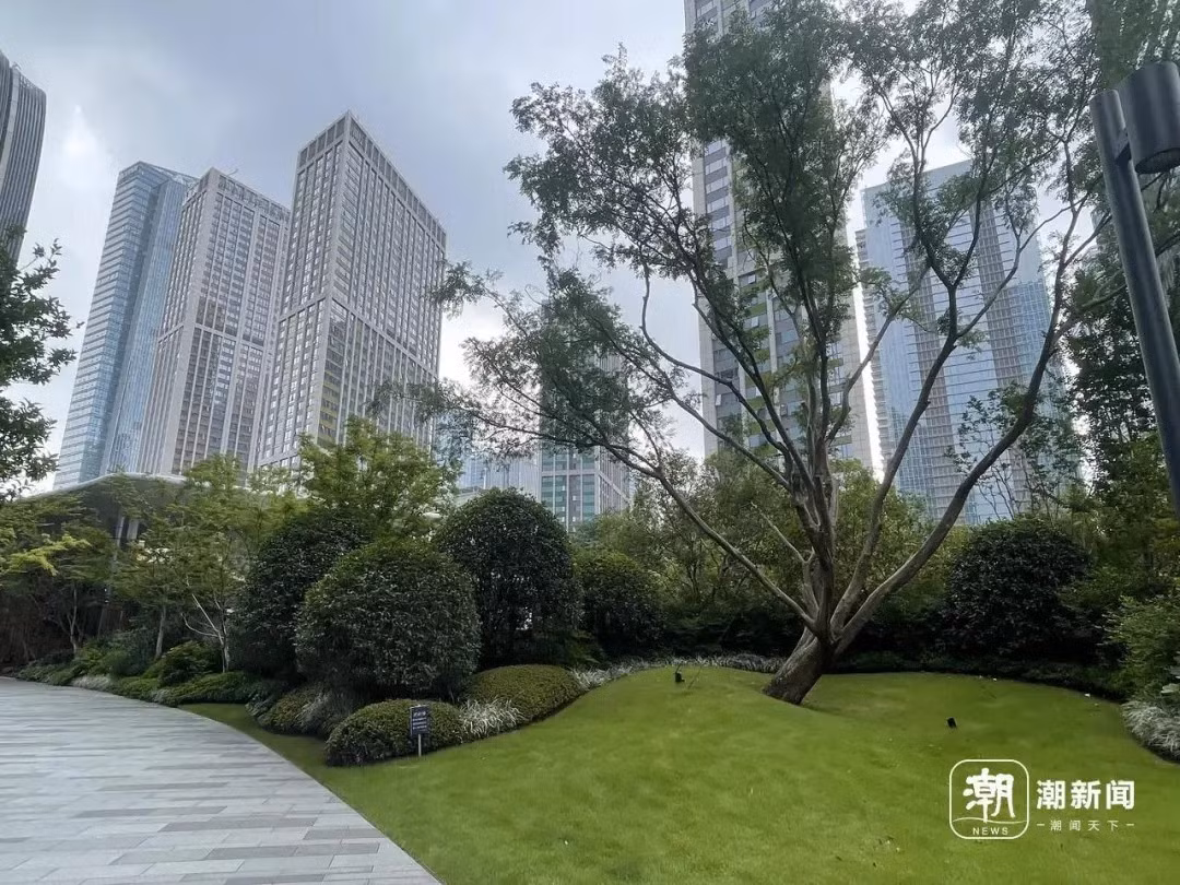 Ngoài ra, ô thoáng khí và che chắn tốt hơn lưới đen. Ô cũng có thể sử dụng trong thời tiết mưa lớn. Ảnh: Ctdsb