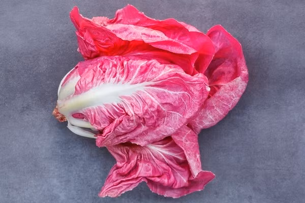 Xà lách hồng là loại rau đẹp mắt, giàu dinh dưỡng, thường được dùng trong các món salad cao cấp, giá khoảng 1,5 triệu đồng/kg. Ảnh: Getty