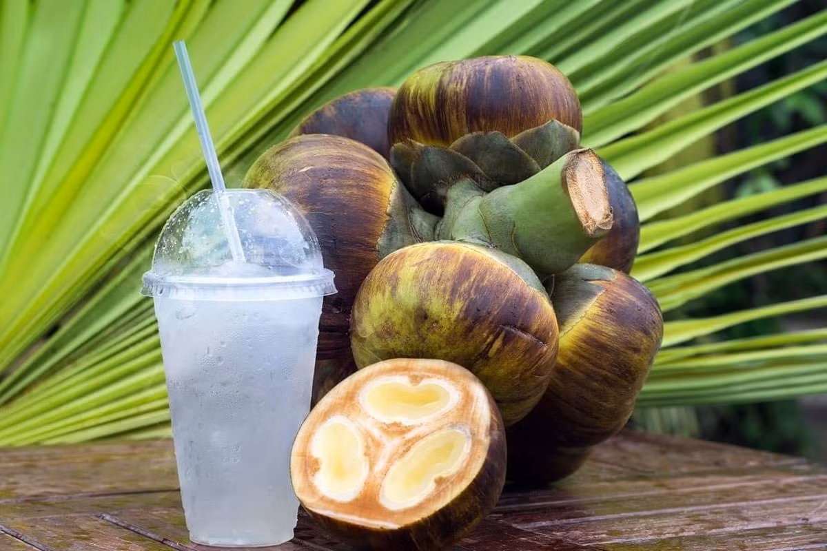 Trước kia, thốt nốt mọc dại khắp nơi nhưng ít ai để ý. Đến mùa, trái thốt nốt rụng đầy gốc, chỉ người dân địa phương mang về làm thành các món ăn giải nhiệt. Ảnh: Mia