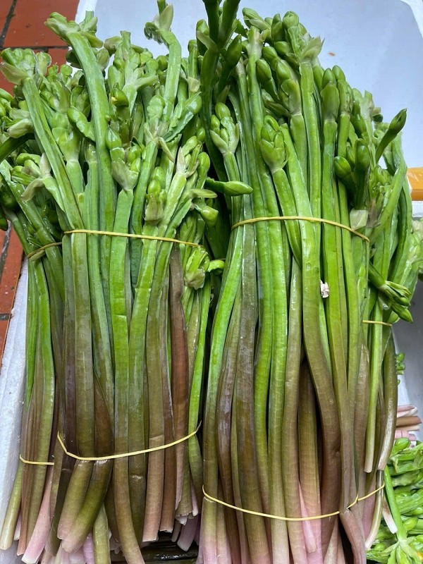 Vài năm gần đây, cây kèo nèo được thành phố ưa chuộng nên người dân đổ xô thu hoạch bán cho thương lái. Ảnh: Internet