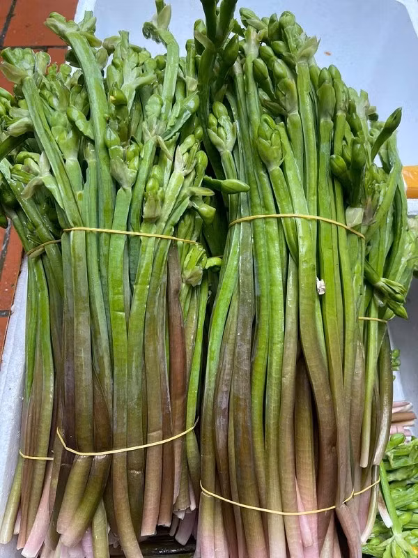 Vài năm gần đây, cây kèo nèo được thành phố ưa chuộng nên người dân đổ xô thu hoạch bán cho thương lái. Ảnh: Internet