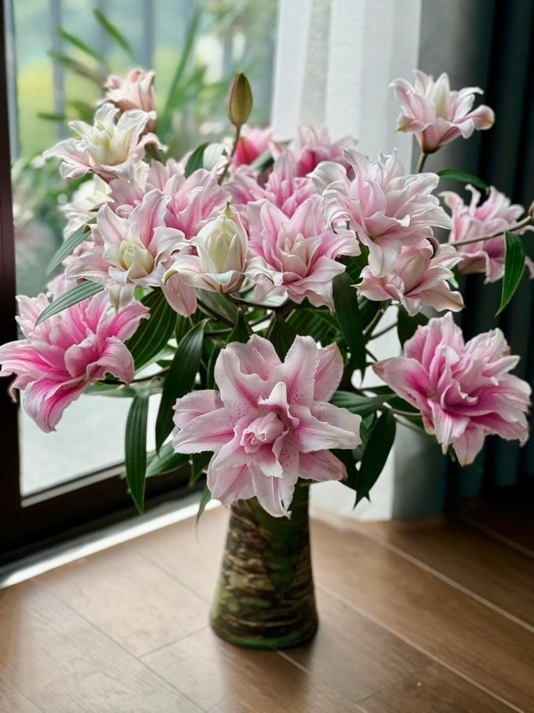 Hoa ly kép có nhiều màu sắc khác nhau nhưng màu hồng phấn và hồng pastel được ưa chuộng hơn trong năm Bính Ngọ 2026. Ảnh: Hoatuoimelinh