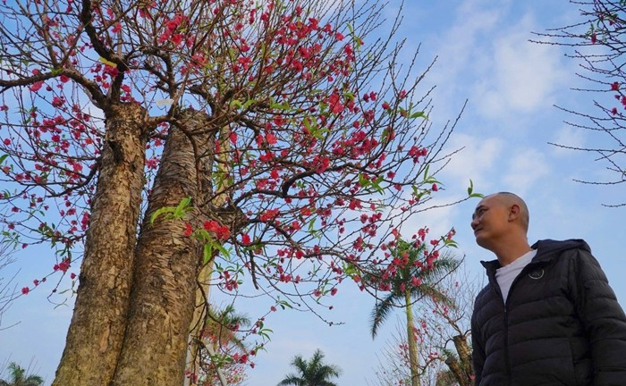 Theo các tiểu thương, năm nay mưa lũ gây ảnh hưởng lớn đến cây cảnh và hoa, khiến nguồn cung khan hiếm so với mọi năm. Ảnh: Tiền phong