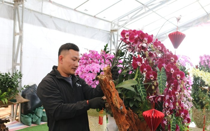 Những ngày cao điểm, người thợ phải làm liên tục, có những đêm tăng ca đến tận 3h sáng. Ảnh: Người đưa tin