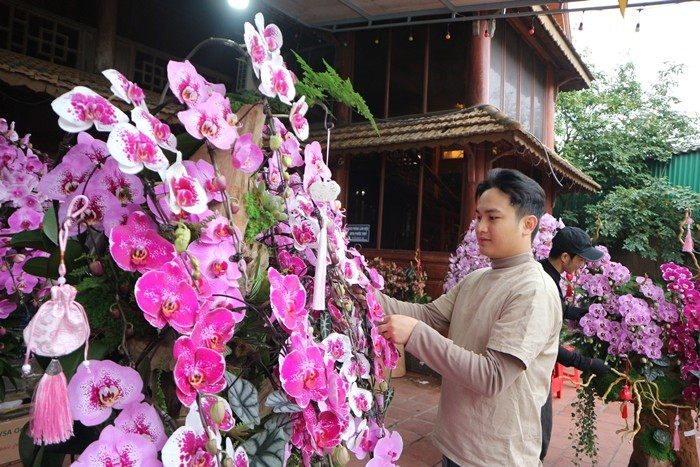 Gần Tết Nguyên đán, thị trường hoa lan trở nên nhộn nhịp. Đây cũng là thời điểm, thợ cắm hoa lan bước vào vụ chính trong năm. Ảnh: Công luận