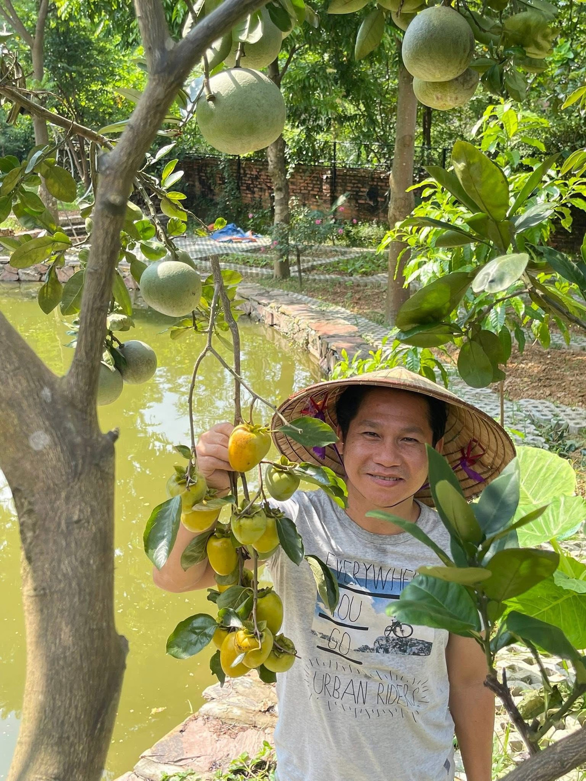 Ca sĩ Trọng Tấn thích thú khi được tận tay hái quả trong vườn. Ảnh: FBNV