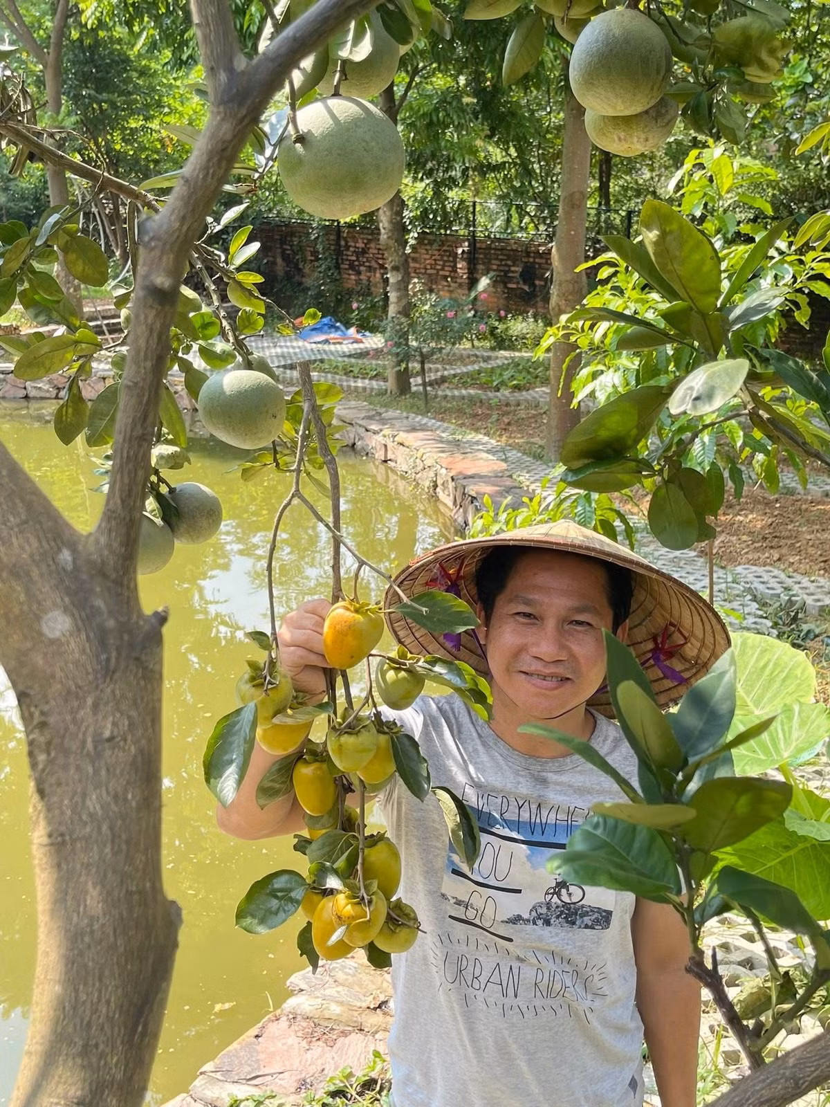 Ca sĩ Trọng Tấn thích thú khi được tận tay hái quả trong vườn. Ảnh: FBNV