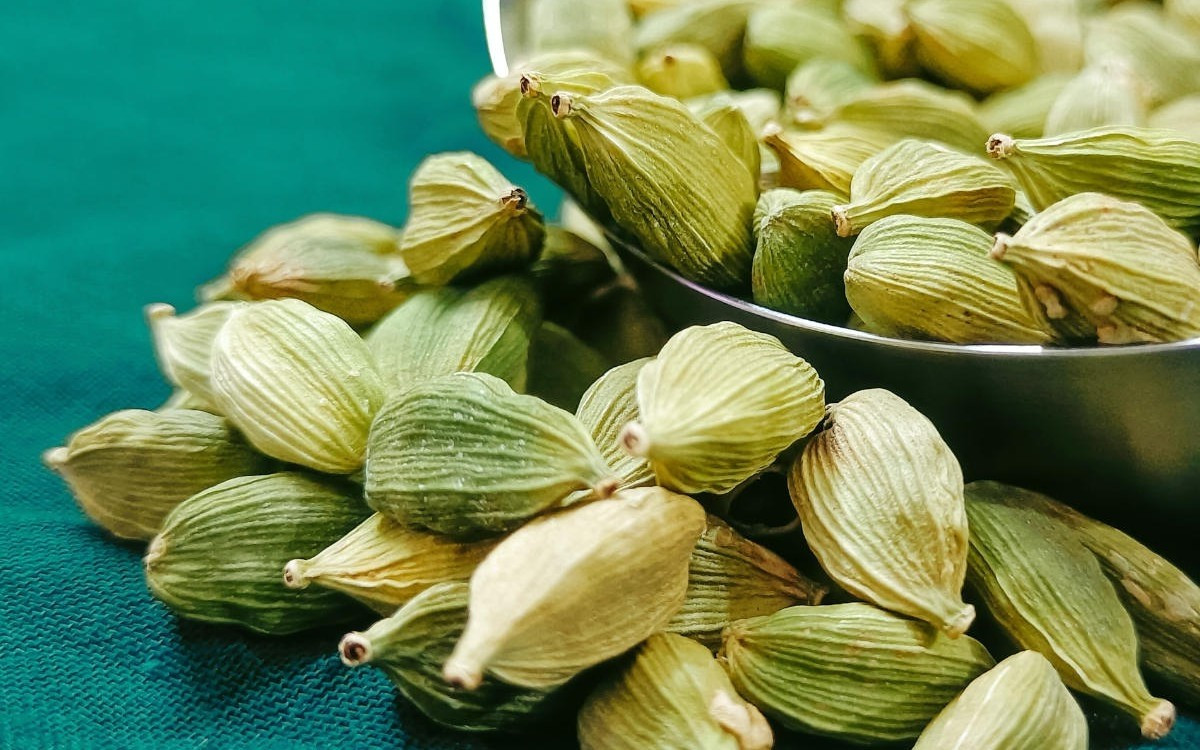 Trong khi đó, bạch đậu khấu tươi giá từ 70.000 - 120.000 đồng/kg. Ảnh: Internet