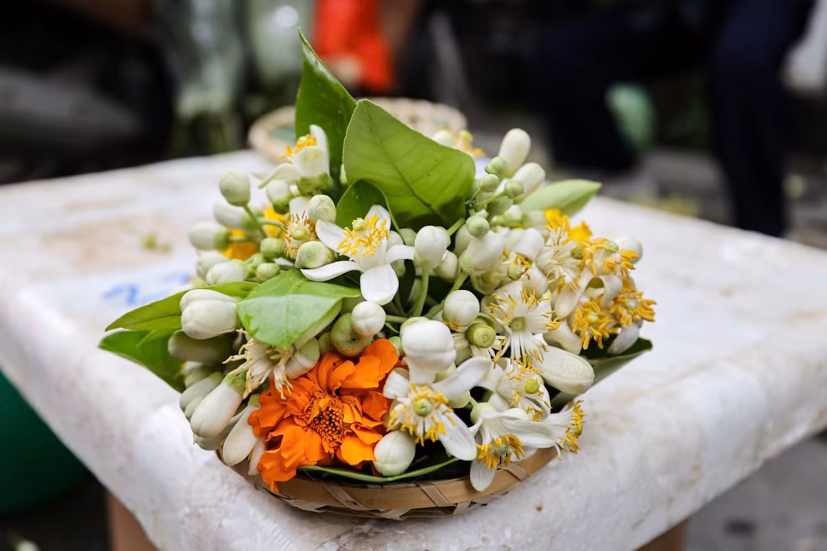 Trong số các loại hoa bưởi đang bán trên thị trường, hoa bưởi Diễn giá đắt nhất, lên tới 100.000 đồng/lạng (tương đương 1 triệu đồng/kg) với chùm đẹp, được tuyển chọn, sắp thành lễ, hương thơm ngào ngạt.