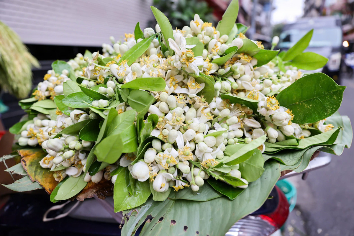 Chị Thoa, 43 tuổi, quê Hòa Bình (cũ) cho biết, chị bán hoa bưởi gần chục năm nay ở chợ Hàng Bè (Hà Nội). Sáng 3/3 (đúng rằm tháng Giêng), chị nhập được 7kg hoa bưởi để bán.