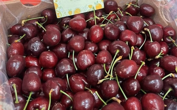 Tại các siêu thị, cherry Chile được niêm yết quanh mức 249.000 đồng/kg. Ngoài bán theo cân, nhiều nơi còn chia thành các hộp nhỏ chỉ vài chục nghìn đồng để phục vụ khách mua lẻ. Ảnh: like Fruits