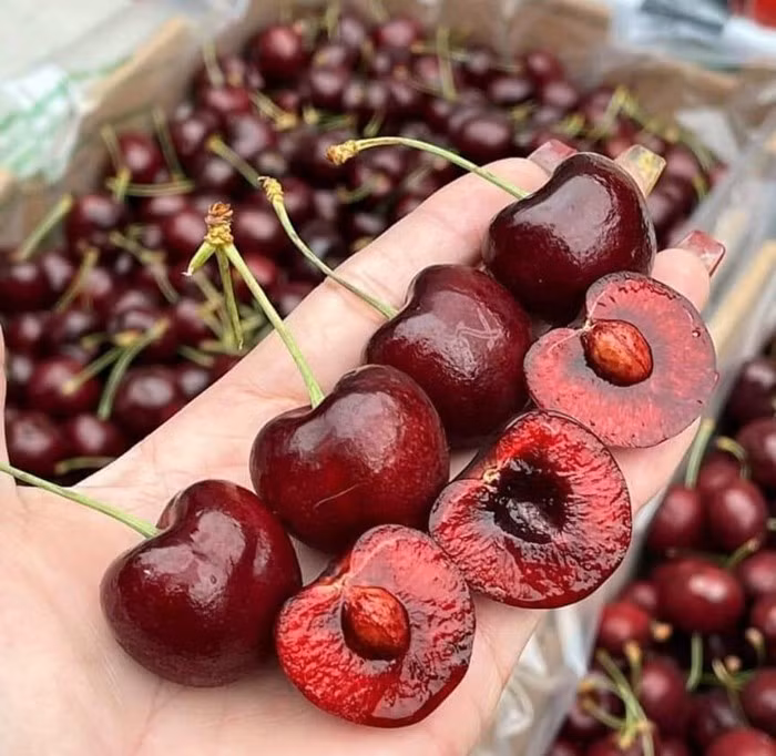 Nếu mua từ 5-10 thùng, giá cherry giảm còn 630.000 đồng/thùng và từ 20 thùng trở lên chỉ khoảng 600.000 đồng/thùng. Fuji Fruit