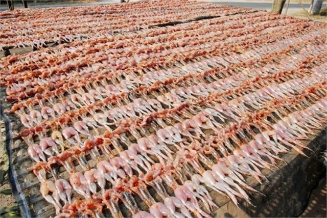 Sau đó, nhái được 'phơi nắng' để vừa ngấm đều hương vị, thịt vừa săn lại. Ảnh: Dân Việt