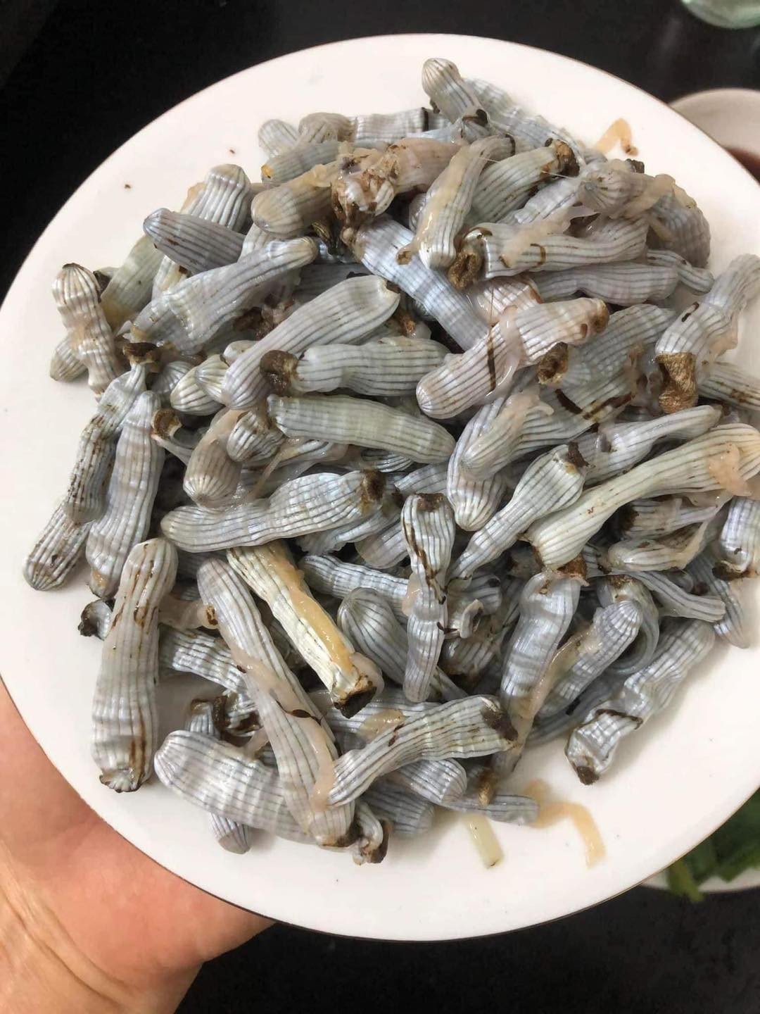 Sâu đất tươi có thể chế biến thành các món rán, xào, nướng hoặc nấu cháo cho người ốm bồi bổ sức khỏe, trong khi sá sùng thường được phơi khô. Ảnh: Facebook