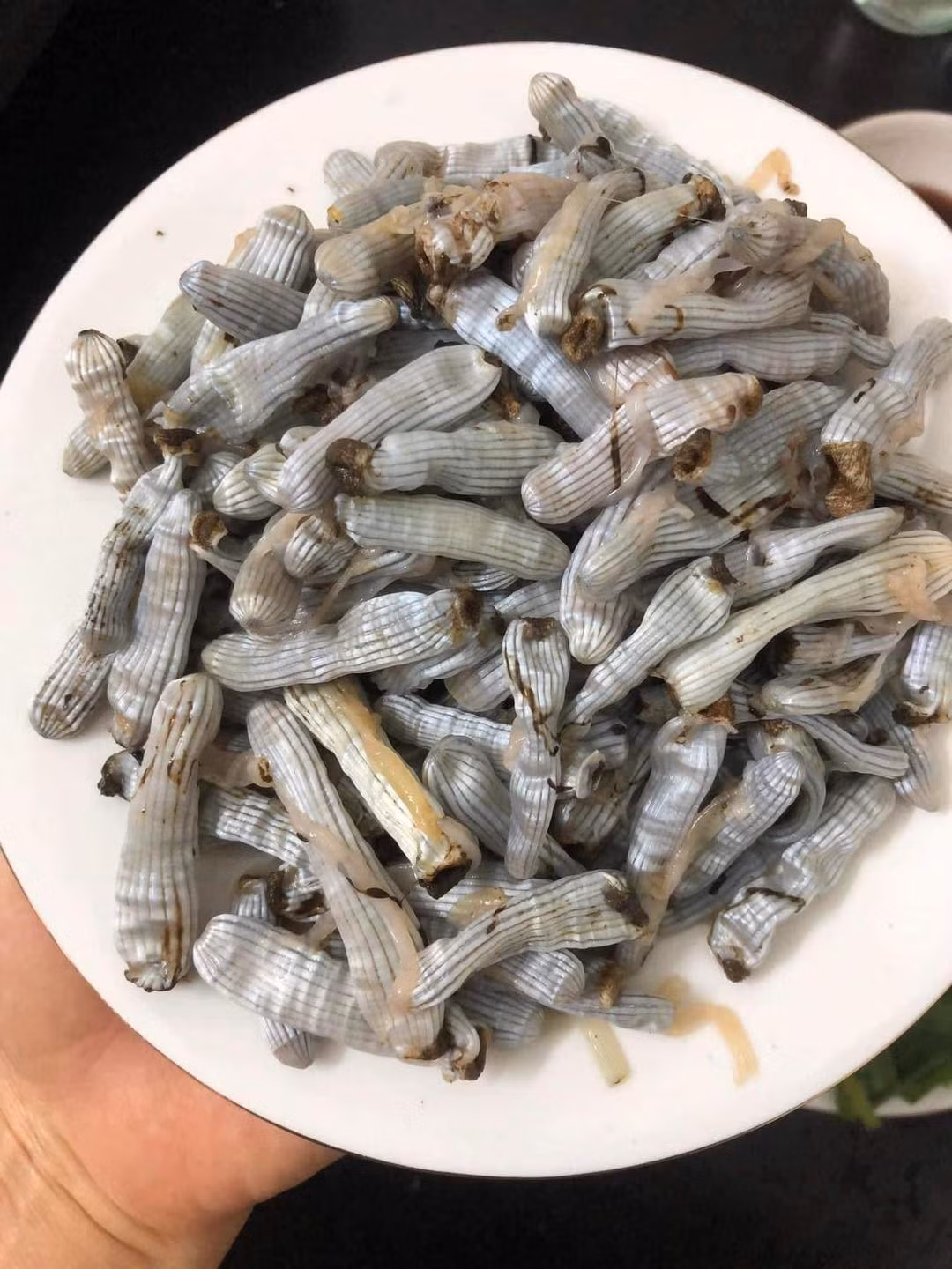 Sâu đất tươi có thể chế biến thành các món rán, xào, nướng hoặc nấu cháo cho người ốm bồi bổ sức khỏe, trong khi sá sùng thường được phơi khô. Ảnh: Facebook