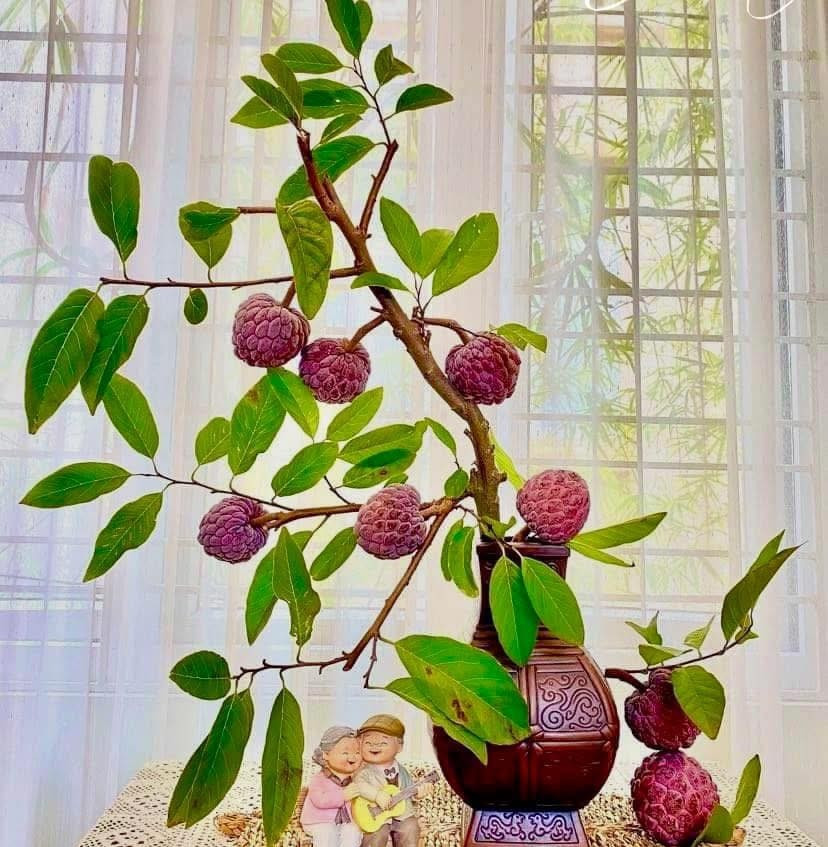 Do có màu sắc độc đáo, cành na tím được nhiều người cắm bình trang trí nhà. Ảnh: FB Tiệm gốm Hà Lê II