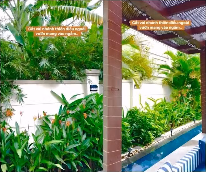 Khu vườn bao quanh nhà ngập tràn sắc xanh với các loại cây nhiệt đới, mang đến cảm giác thư thái. Ảnh chụp màn hình