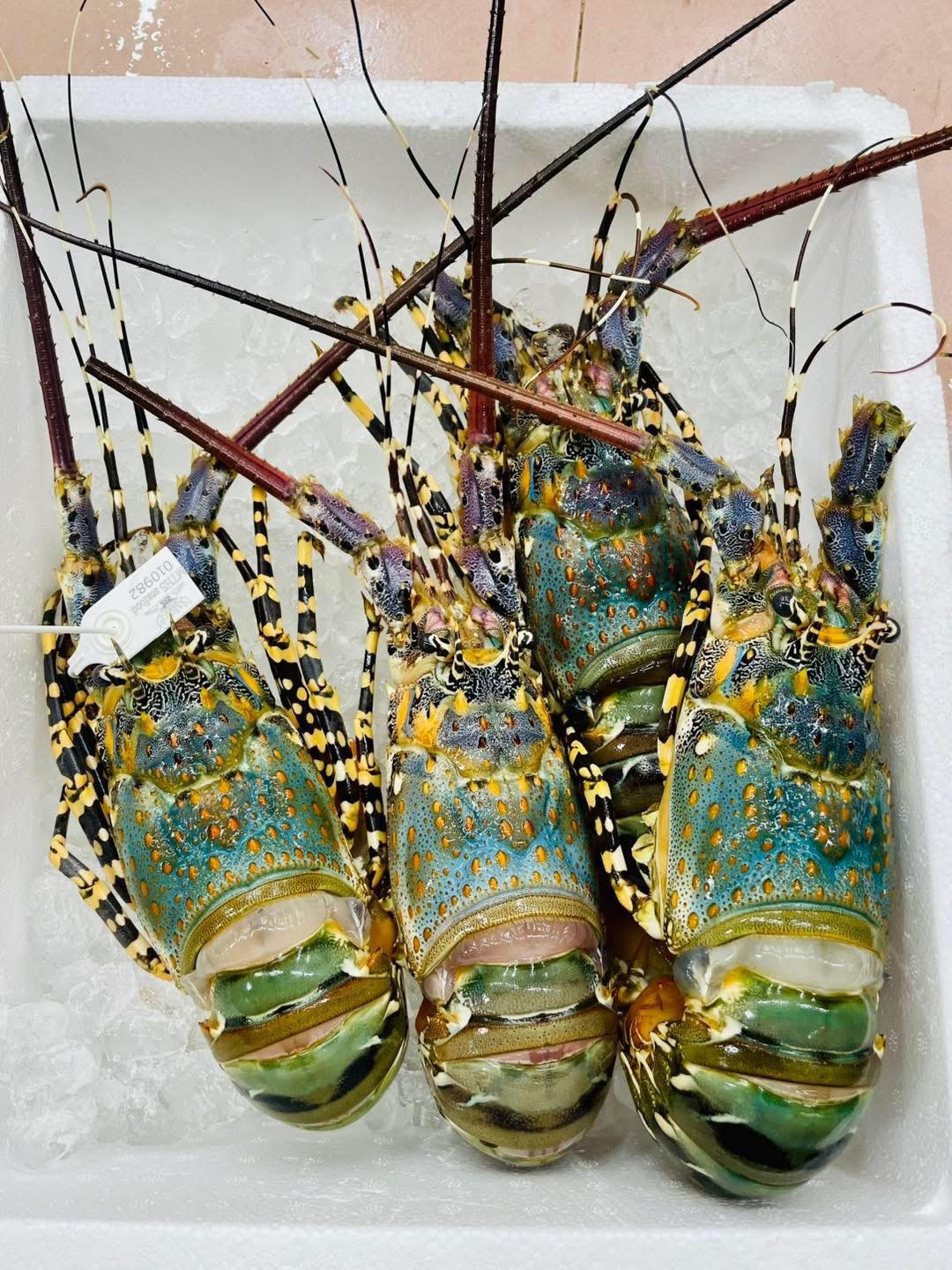 Dù đắt nhưng số lượng tôm hùm không nhiều, mỗi đợt chỉ nhập được vài chục kg, giảm khoảng 30% so với các tháng trước, có thời điểm không đủ hàng để đáp ứng đơn đặt mua số lượng lớn. Ảnh: Facebook