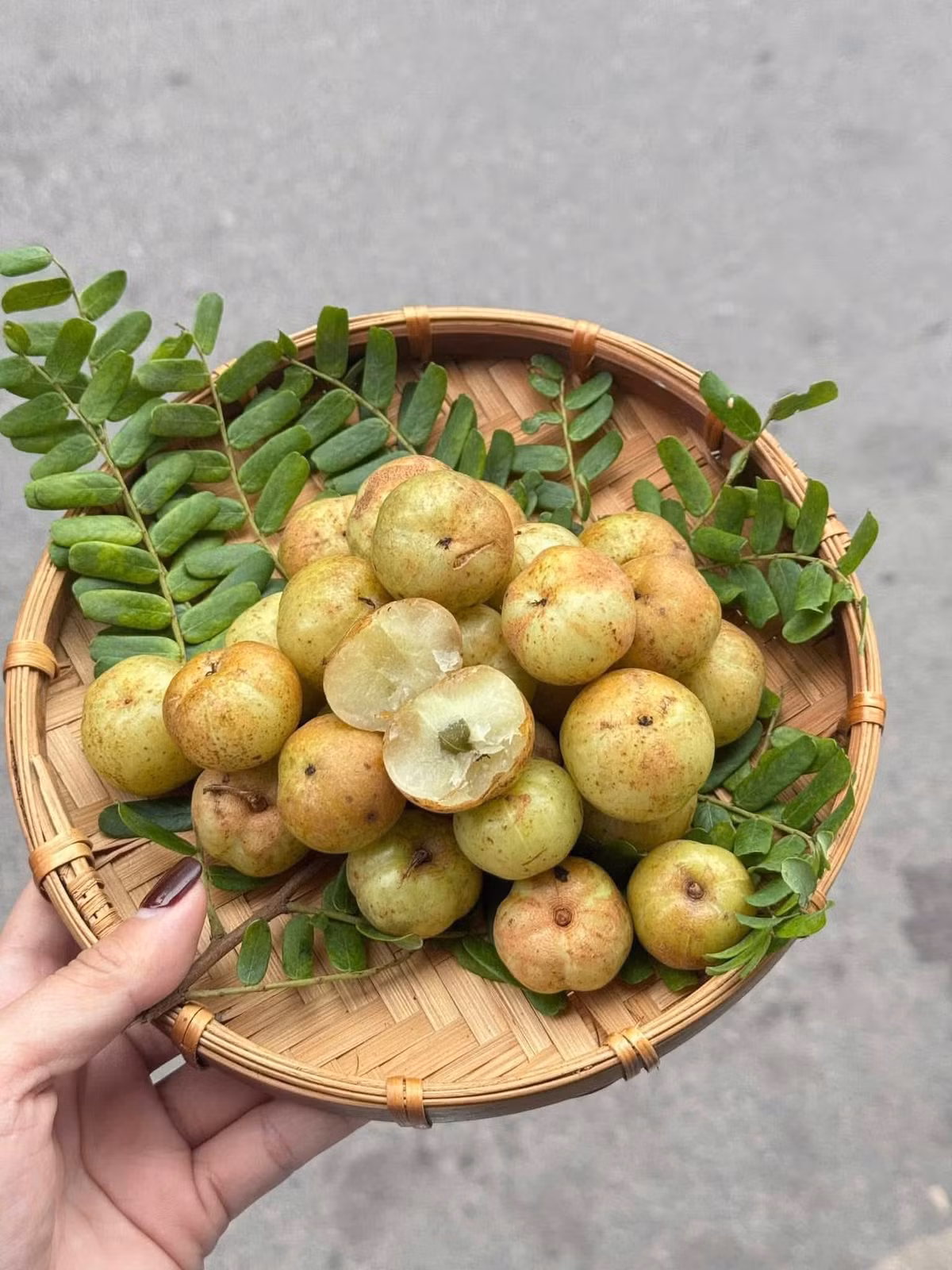 Nhiều tiểu thương cho biết, me rừng có nhiều thời điểm “cháy hàng” vào mùa me chín. Ảnh: Facebook