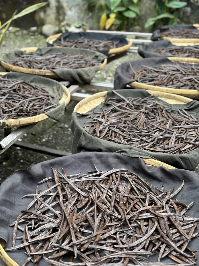 Sau khi lên men và sấy khô, các phản ứng sinh hóa diễn ra, hình thành vanillin - hợp chất tạo ra hương thơm đặc trưng, thanh nhẹ nhưng quyến rũ. Ảnh: Reddit