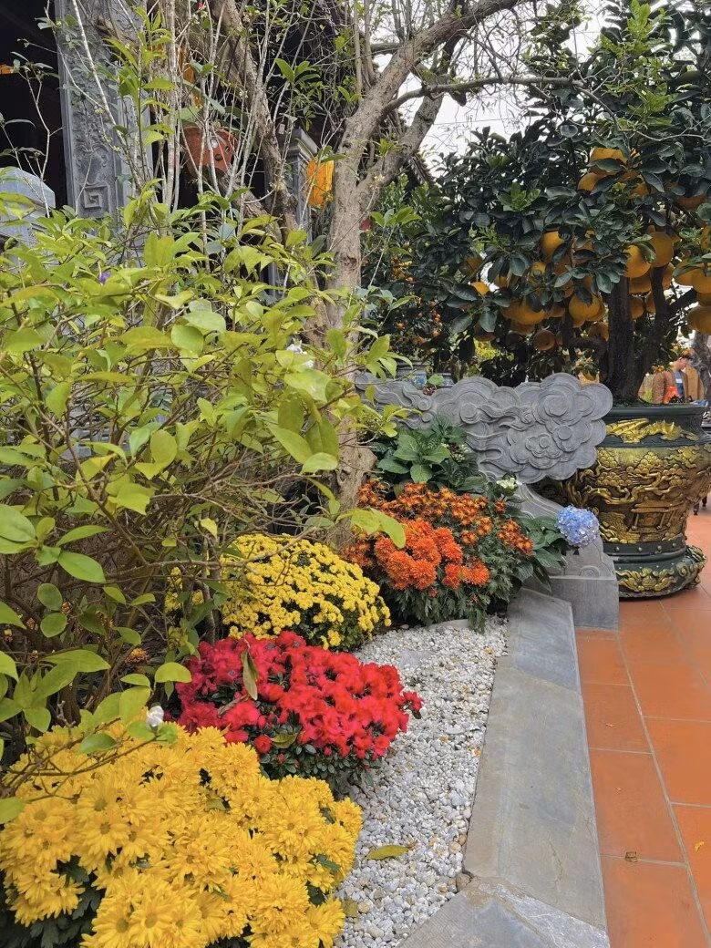 Góc vườn rực rỡ với hoa đủ màu vàng, đỏ. cam...Ảnh: FBNV