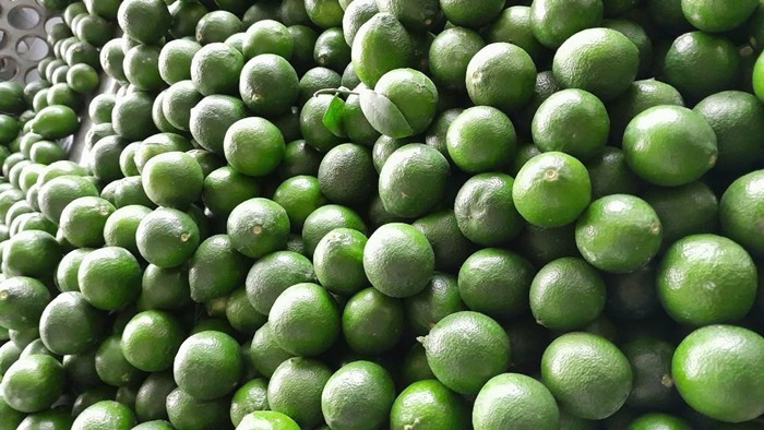 Thậm chí, nhiều doanh nghiệp còn nhập chanh Việt Nam để tái xuất sang các nước vùng Vịnh như Saudi Arabia, Oman, Bahrain, Qatar...Ảnh: VietLinh Agrimex