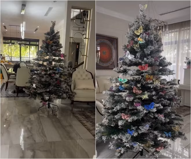 Cây thông phủ tuyết trắng được trang trí bằng hàng loạt chú bướm cánh mỏng đủ màu sắc. Ảnh: FBNV