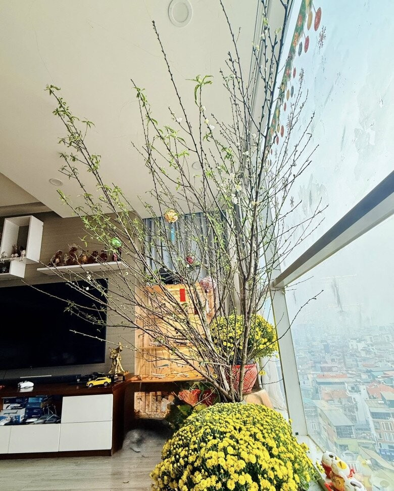 Khu vực cửa kính view nhìn thành phố được trưng bày những cành hoa cao đầy sức sống hay chậu cúc vàng rực. Ảnh: FB Trang Hoàng