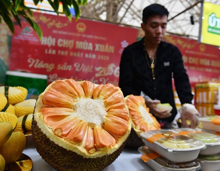 Mít Indonesia trái lớn trồng tại Đồng Tháp có giá bán 80.000 đồng/kg. Loại mít này giống mít dai, vị ngọt sắc, nửa quả đã nặng khoảng 7kg. Ảnh: Vietnamnet